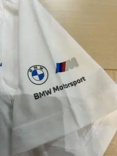 Item thumbnail for item 1cd787bb-3d5d-49a2-a382-7245048b760e