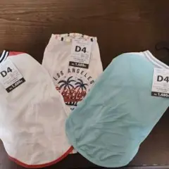 Item thumbnail for item 6aad2d66-4858-4e82-a446-037e2743d582