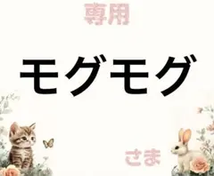 専用