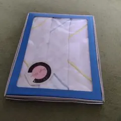 Item thumbnail for item 5692c17b-4fb3-4fb6-9dad-8c85aca32249