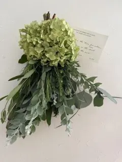 アナベル　紫陽花　ユーカリ　ポポラス ローズマリー　スワッグ　ドライフラワー