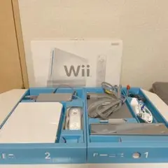 Nintendo Wii RVL-S-WD 動作確認済
