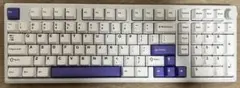 EPOMAKER Galaxy100 ホワイト wisteria switch
