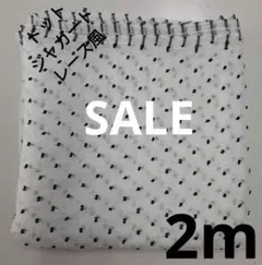 Item thumbnail for item 63105f1d-2879-4305-ac03-1e87079456df