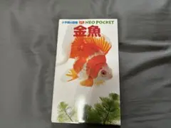 金魚　小学館の図鑑