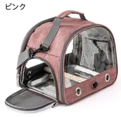 Item thumbnail for item c7207bf5-7c2c-405d-a67d-44fcfb419fbd