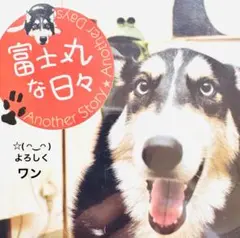 犬のDVD 『富士丸な日々』 Another Story☆Days