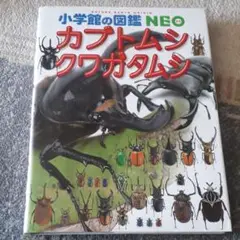カブトムシ・クワガタムシ