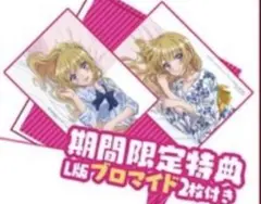 ❣️✨ようこそ実力至上主義の教室へ 抱き枕カバー先行特典ブロマイド 軽井沢 恵✨❣️