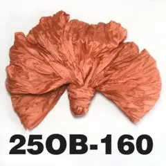 Item thumbnail for item 58e0fd20-db9a-463c-a597-5138de16c54c
