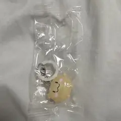 TRUZ めじるしチャームルル TREASURE