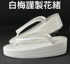 Item thumbnail for item 4a58423d-558b-4bfc-bb39-70df78cf3f7b