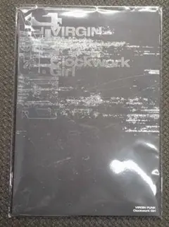 新品未開封 ヴァージンパンク パンフレット