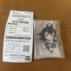 ホロライブ　アクスタ　大神ミオ