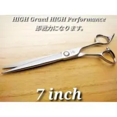 Item thumbnail for item 284c8181-d1b6-4c5f-aba6-2ac19a3e8da4