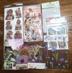 Item thumbnail for item 2dcb73cf-f215-4bd1-9db9-040945864ceb
