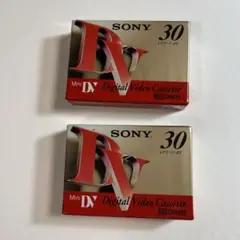Sony mini DV2本