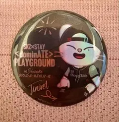 スキズ♪ジニレット♪ヒョンジン♪エコパ限定ホログラム缶バッジ♪SKZOO