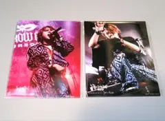 The Brow Beat 特典ブロマイド2枚セット