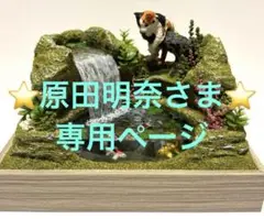 ⭐️原田明奈さま 専用ページ⭐️