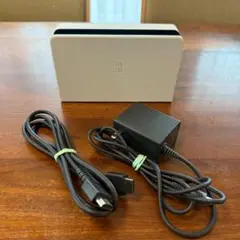 【美品】Nintendo Switch ドッグ 純正品 ACアダプター HDMI