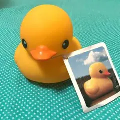 フロレンティン ホフマン ラバーダック TOLO フロレンタイン 水