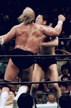 プロレス生写真　追悼ハルクホーガン① 20枚1組