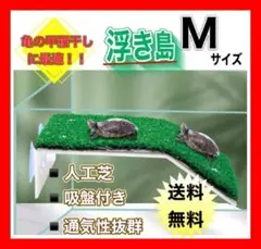 Item thumbnail for item a1d7a81e-0a98-4918-be88-49a49c41c525