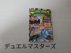 デュエルマスターズ 完全カードファイル VOL.4　本