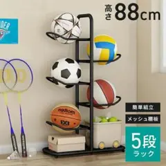 ★ボール収納に★ 5個 ボールスタンド 収納ラック スポーツ