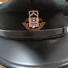 Item thumbnail for item 465d162d-05fe-4d7e-a569-794e99fb10d1