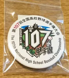 甲子園　缶バッジ　2025年夏　第107回　全国高校野球選手権大会　高校野球