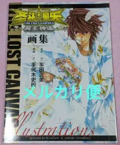 2025年最新】聖闘士星矢 the lost canvas冥王神話画集の人気