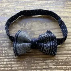 Item thumbnail for item 959eb4ac-b36c-4d57-80b2-cd78ad36dacb