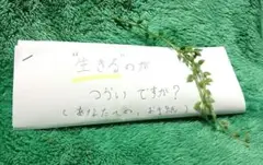 Item thumbnail for item 0a20664b-ea71-470f-a718-4966e360b368