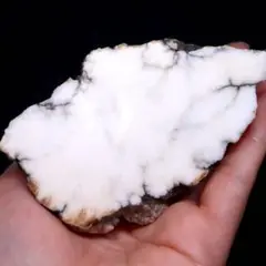 Item thumbnail for item 80e63afa-8d73-4311-906c-12960c895338