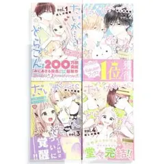 たいがー&どらごん 1巻～4巻 全巻セット まとめ売り 全巻初版