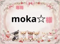 専用