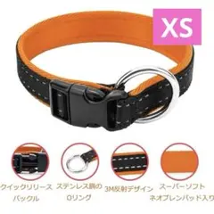 Item thumbnail for item 3564712d-cb9b-4564-b862-3c1ce5370399