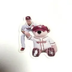 楽天イーグルス 蕭 齊
