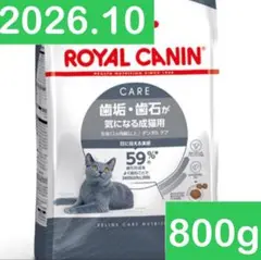 Item thumbnail for item 09cf2cfd-a66b-49a0-9d3c-ca5670884a42