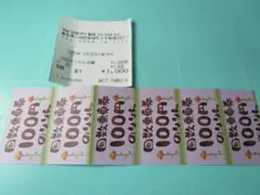智頭町　のりりん回数券６枚