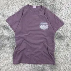 GILDAN Ultra Cotton アルバカーキアメリカ観光Tシャツ