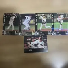 Item thumbnail for item 5c31aef8-7a5a-4076-8b04-876e30e7d5c6