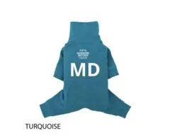 Item thumbnail for item 490b7a9e-0eb4-4c86-8282-b6f0107df7b5