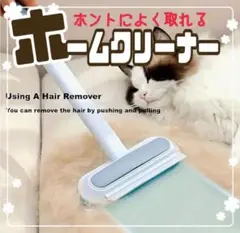 Item thumbnail for item 31d120d4-1f5c-4cc1-a8d5-089114a6b4ef