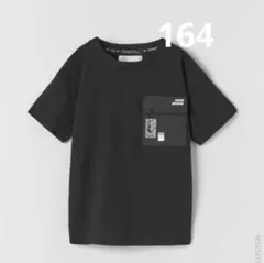 ZARA ボーイズ　Tシャツ