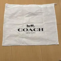 Item thumbnail for item b82fa27d-143b-4e8a-bd6e-1e9c6c2ba616