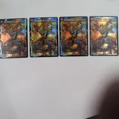 モルトDream4枚