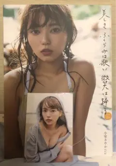 Item thumbnail for item 3c6cc475-94b8-469f-9856-bc85788ed706